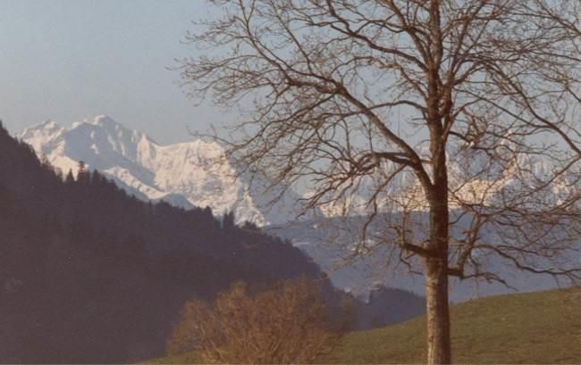Blick vom Balkon