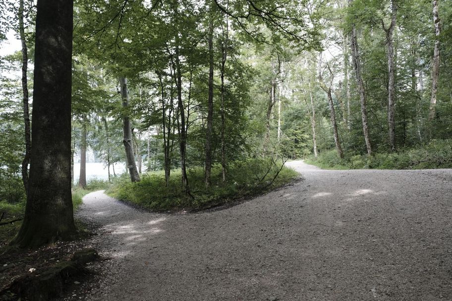 Weggabelung des Alpsee-Rundwegs