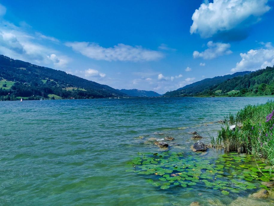 Alpsee