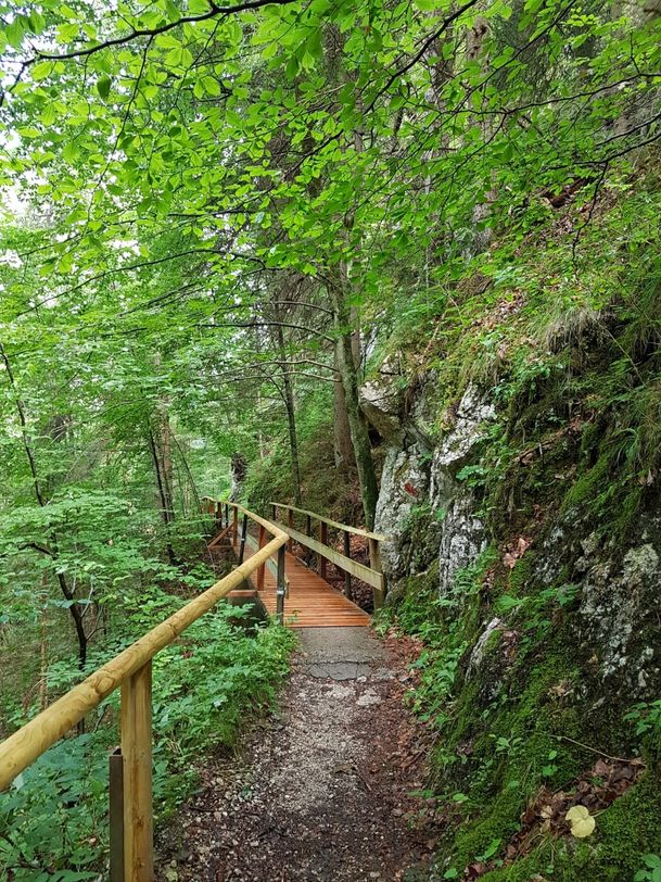 Holzsteg am Alpenrosenweg