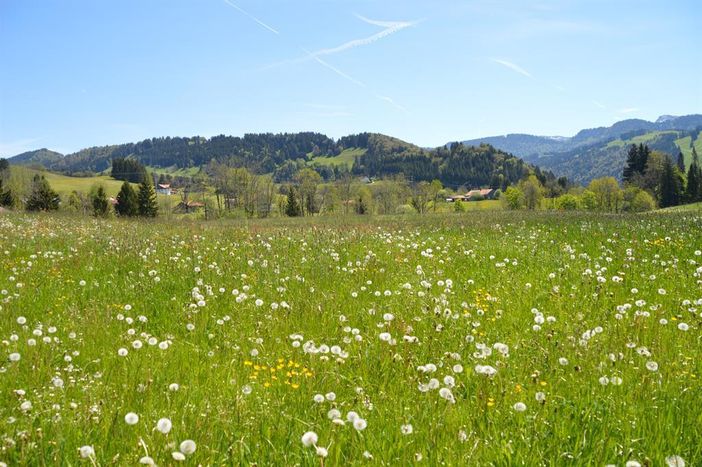 Frühling in Kalzhofen