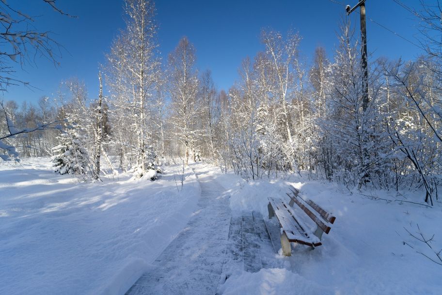 Agathazeller Moos im Winter