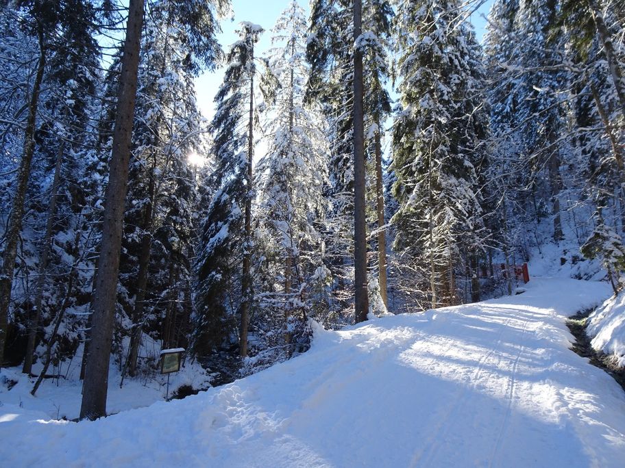 Zustieg durch das Steigbachtal - Naturpark Nagelfluhkette