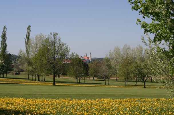 Basilika