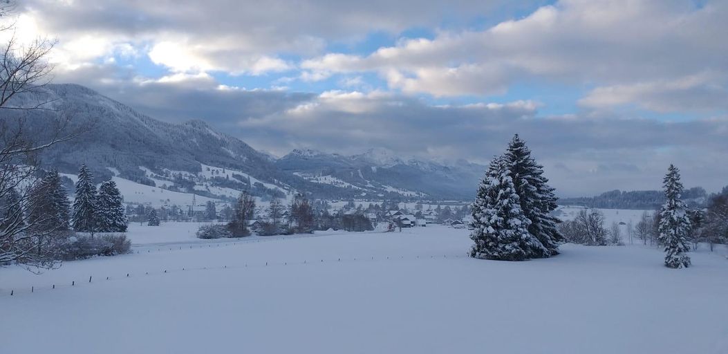 Ausblick Garten Winter