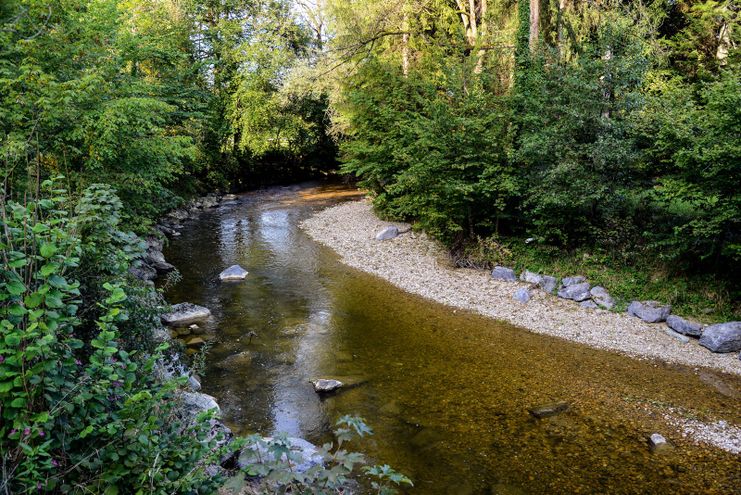 Naturerlebnis im unteren Leiblachtal