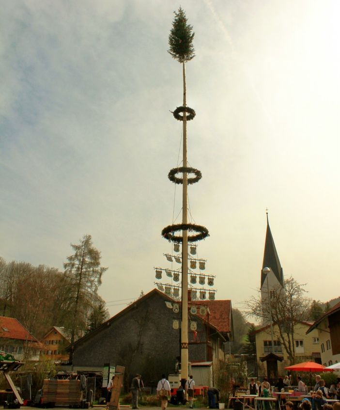 Maibaum aufstellen