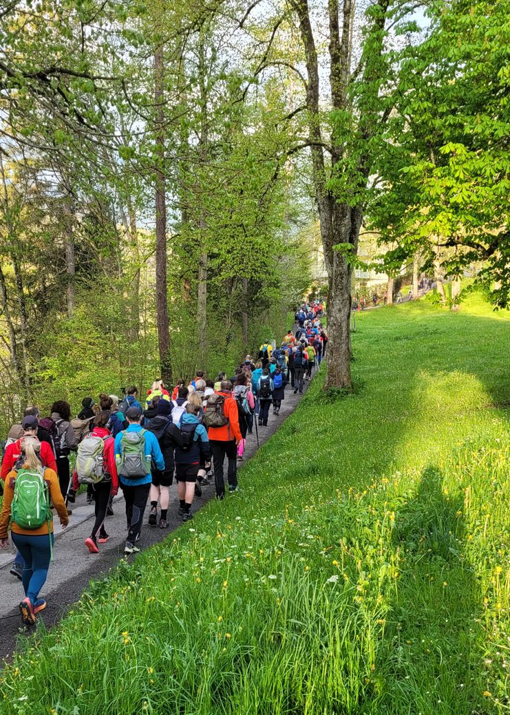 bavaria-koenigsmarsch-fuessen-allgaeu-2023-baumgarten