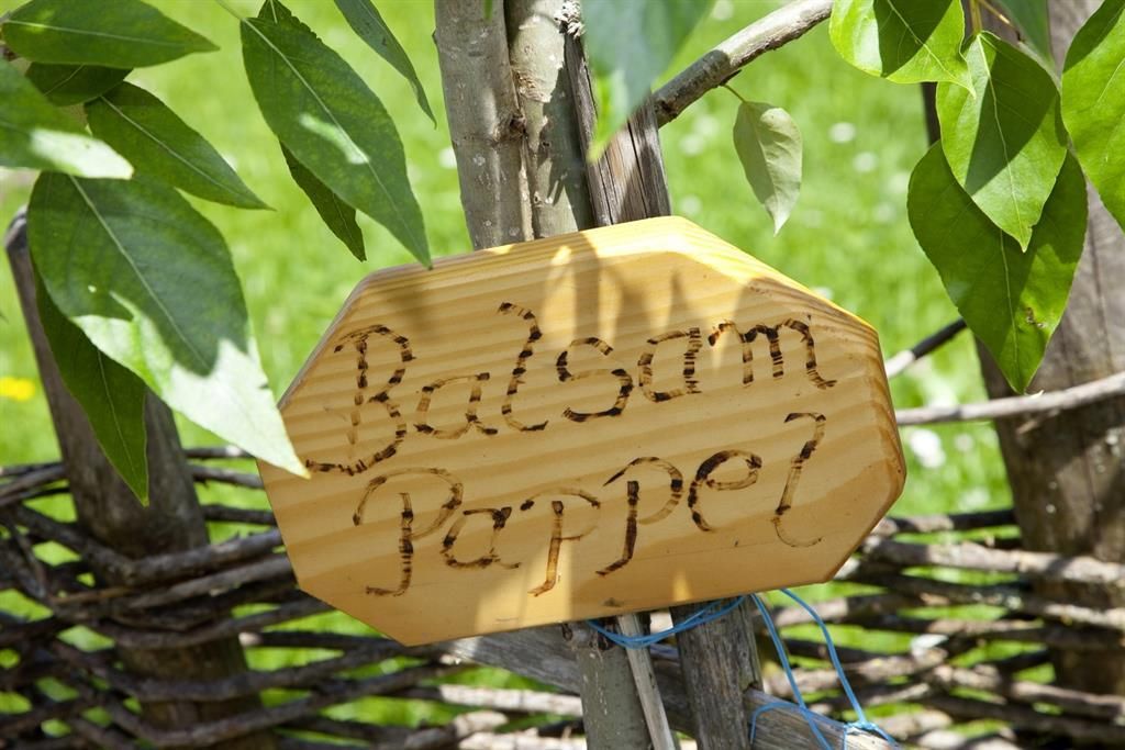 Kraeutergarten-Gunzesried3