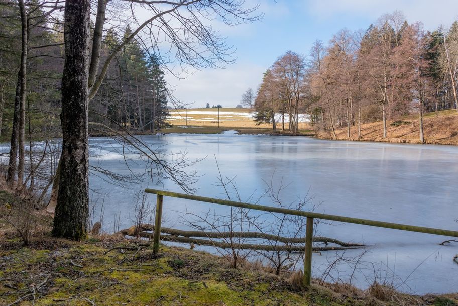 Kleiner zugefrorener Waldweiher.