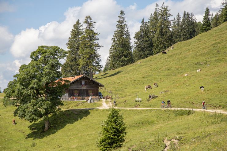 Bärenmoosalpe im Himmelreich am Kienberg