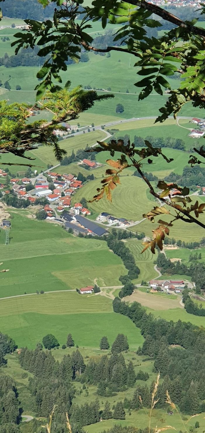 Blick auf den Hof - Grünten