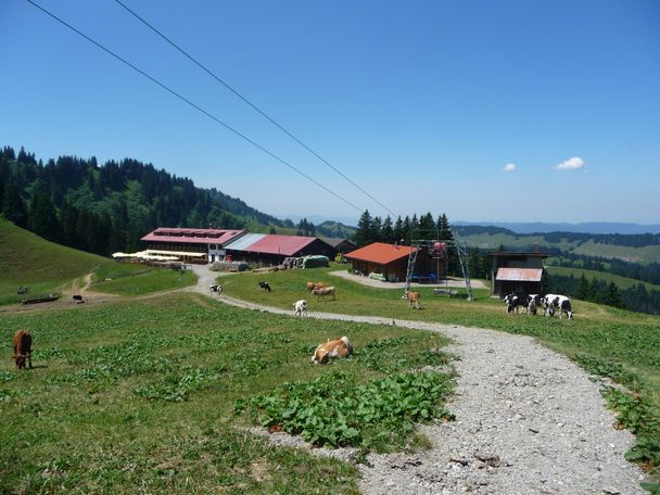 Abstieg zur Falkenhütte