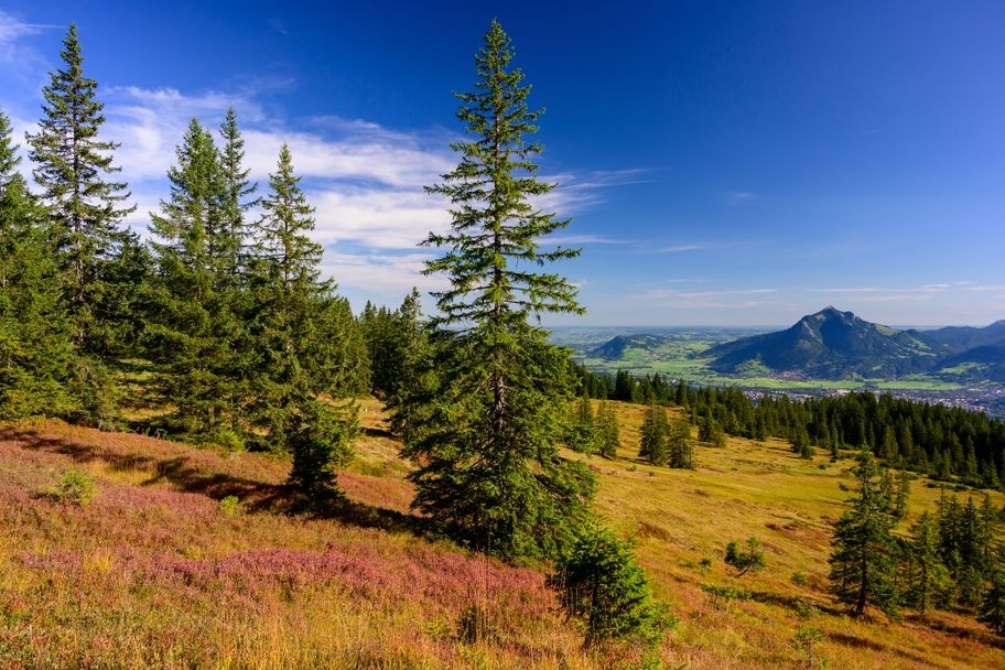 Hörnerpanoramaweg - weite Ausblicke in malerische Landschaft