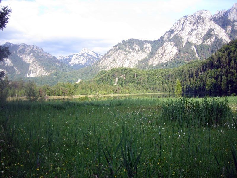 Oberhalb des Schwansees auf dem Alpenrosenweg