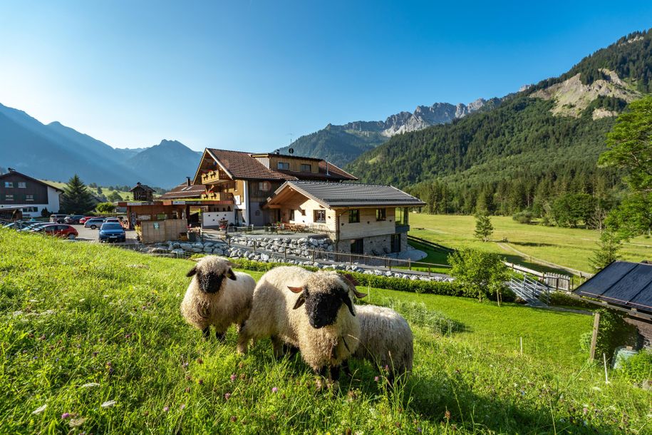Westansicht_Sommer