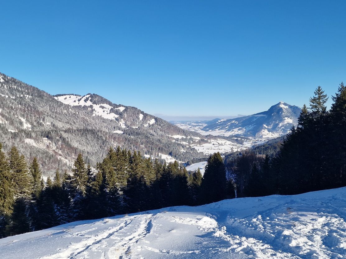 Den Grünten im Blick