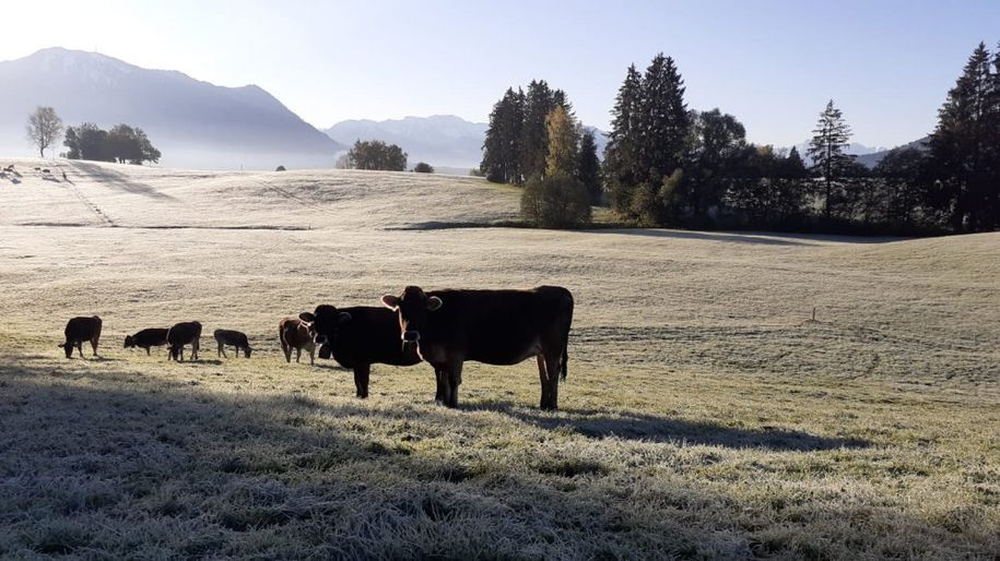 Bei uns im Herbst