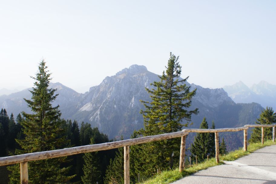 Blick auf den Säuling