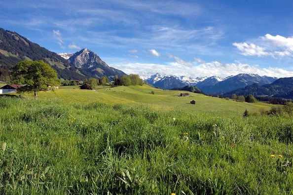 Blick in die Oberstdorfer Berge