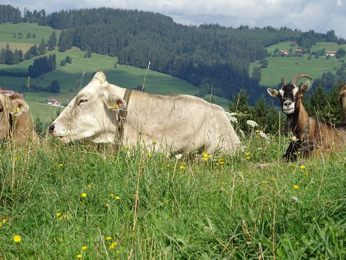 einfach Relexen
