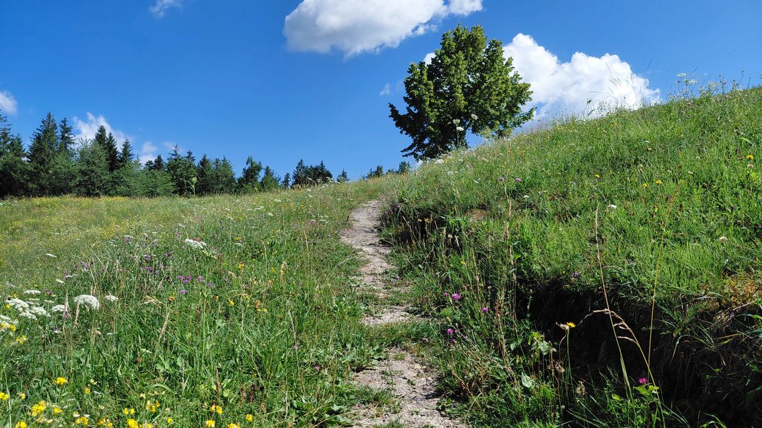 Anstieg zum ehemaligen Heilbad Rossbad
