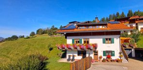 Liegewiese und Terrasse