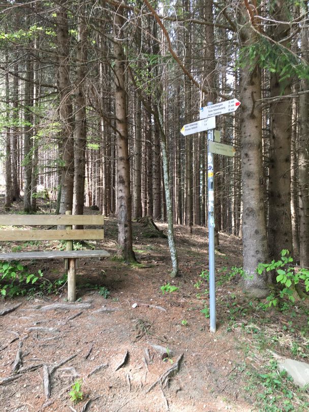 Wanderwegweiser Richtung Schlossweiher