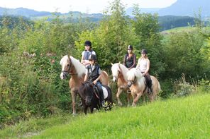 Reiterferien im Allgäu