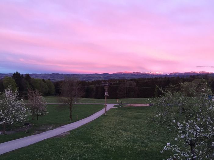 Frühling