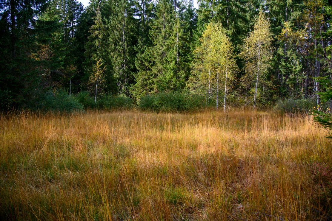 Foto: Thomas Gretler