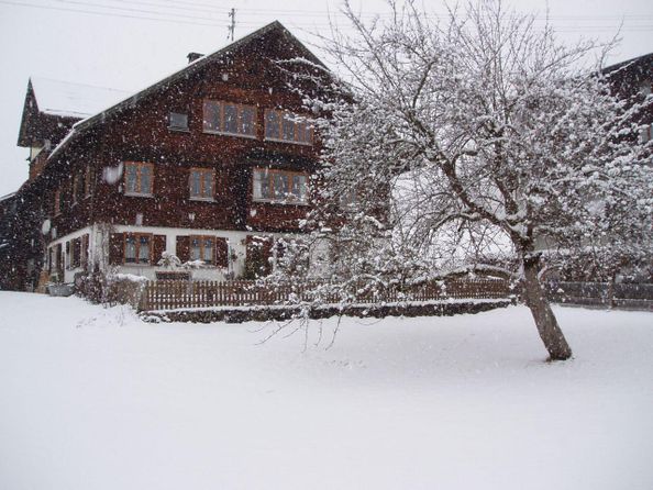 Haus