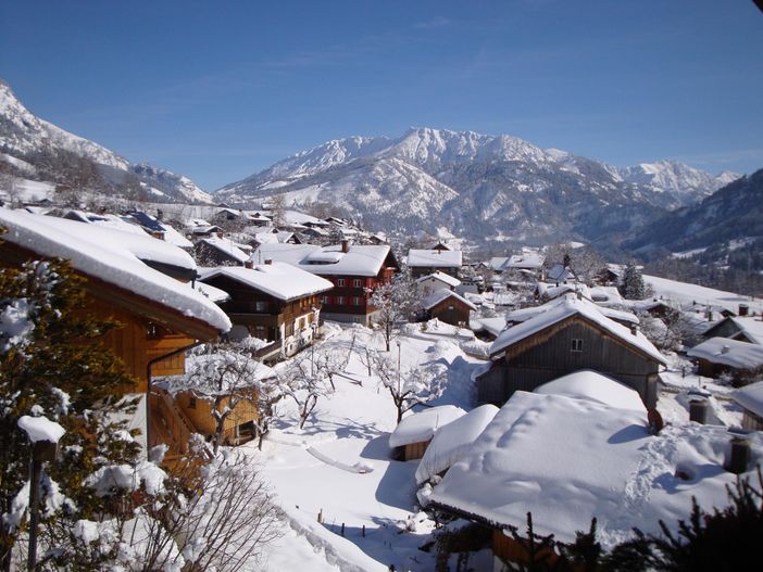 Blick vom Haus