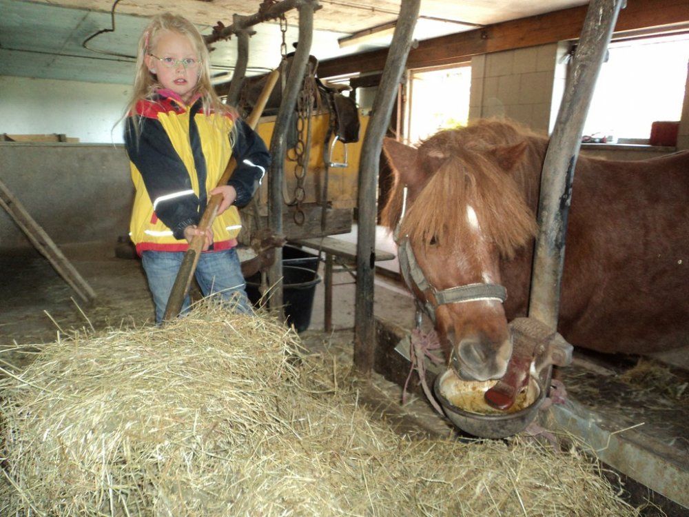 Bei uns im Stall - Landwirtschaft hautnah erleben