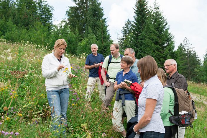 Kräuterwanderung