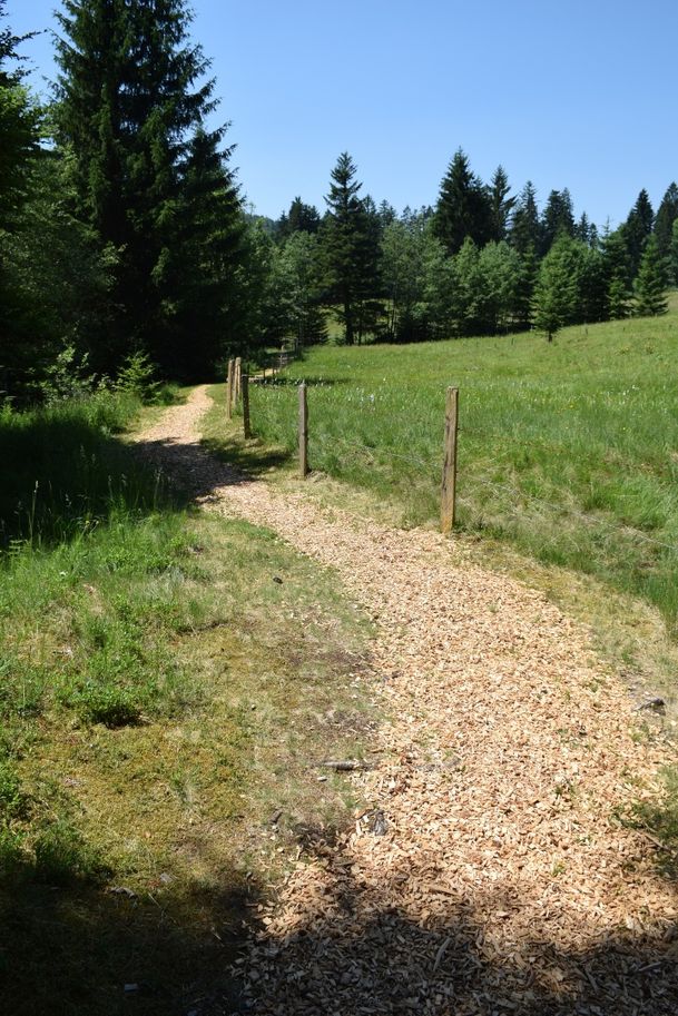 Tobelweg Sibratsgfäll