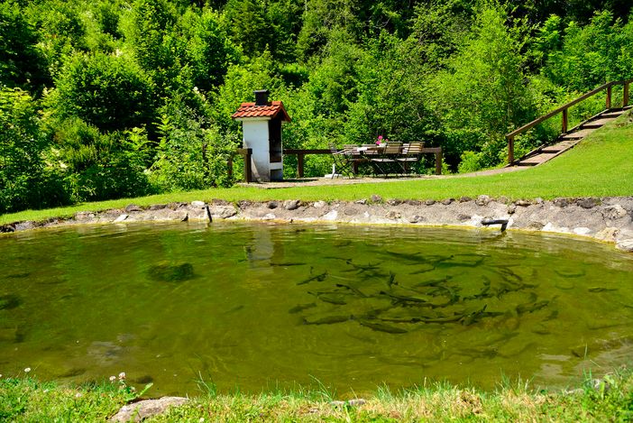 garten3