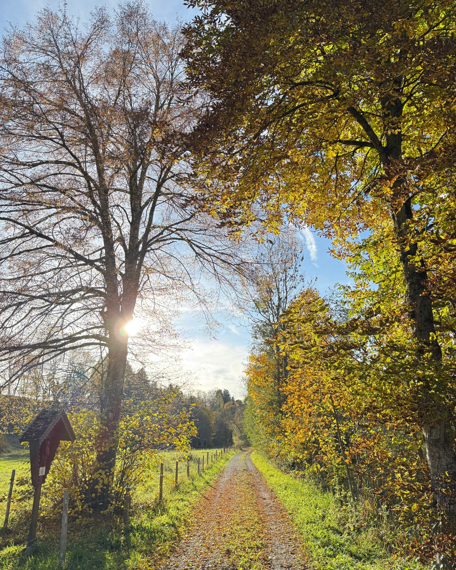 Wertach-Viehweid-Runde