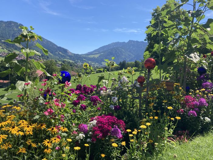 Sommerblumen mit Bergblick