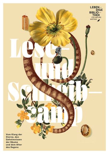 Grafik Lese- und Schreibcamp