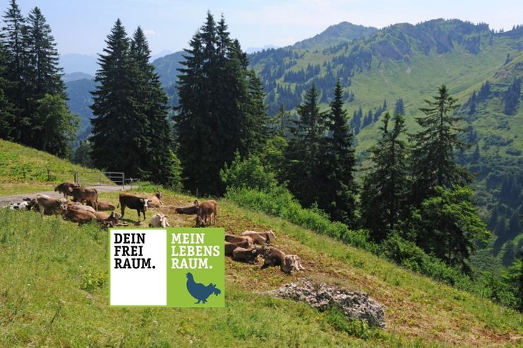 Lecknertal und Leiterberg – Märchenwelt im Herzen der Nagelfluhkette