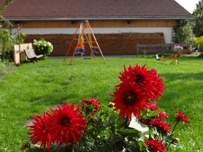 Garten vor dem Haus