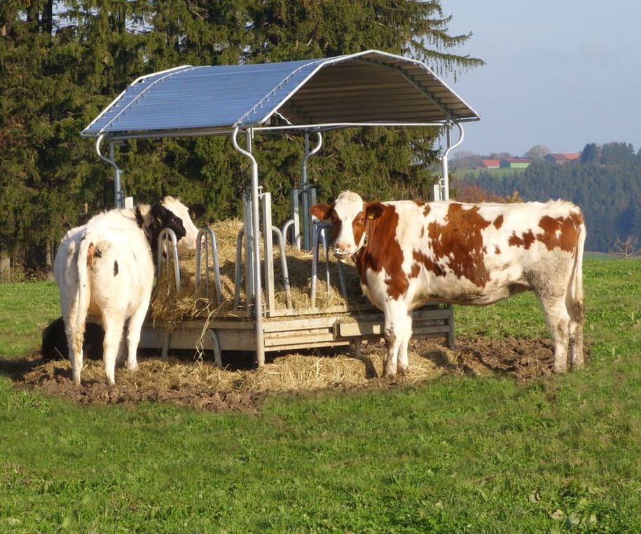 Unsere Futterstation im Freien