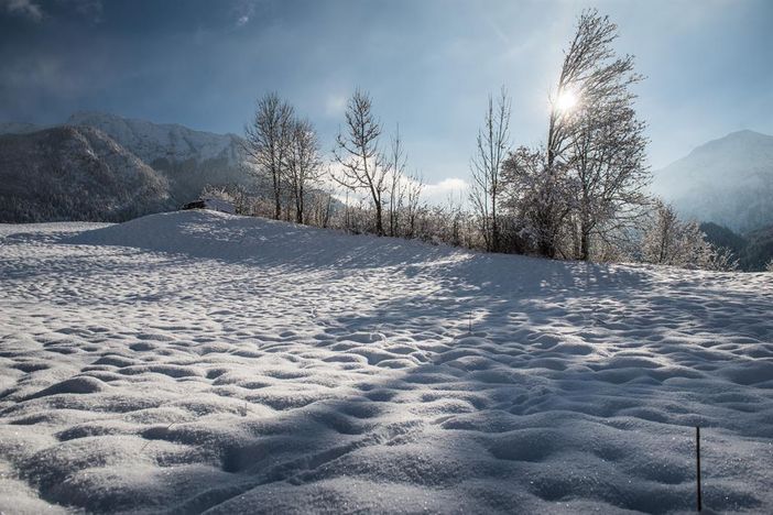 Winterimpression