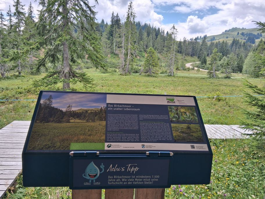 Gunzesried: Birkachmoor