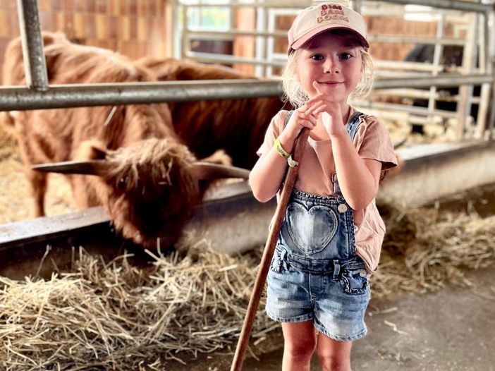 40564906-375a-4598-b87e-b04a03f27a60481139