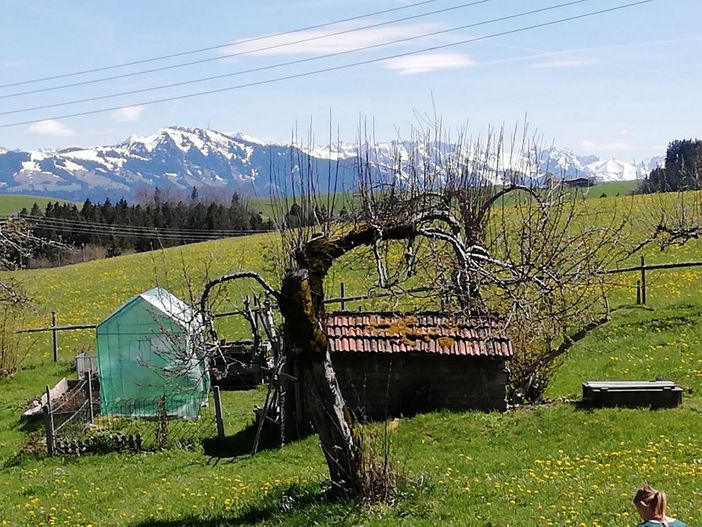 Blick von unserem Balkon