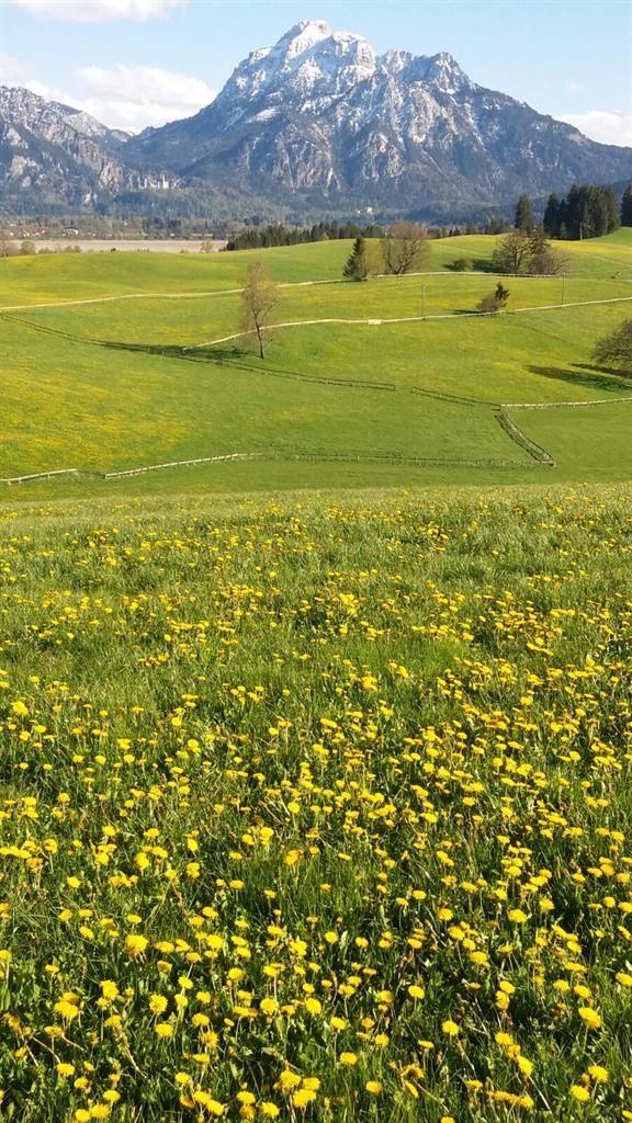 Aussicht auf Säuling