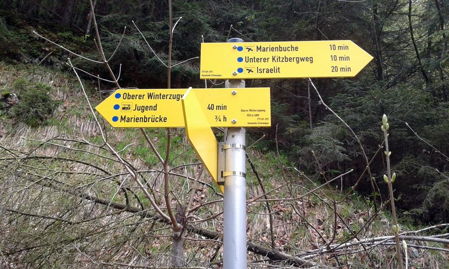 Wildromantischer Alpsee