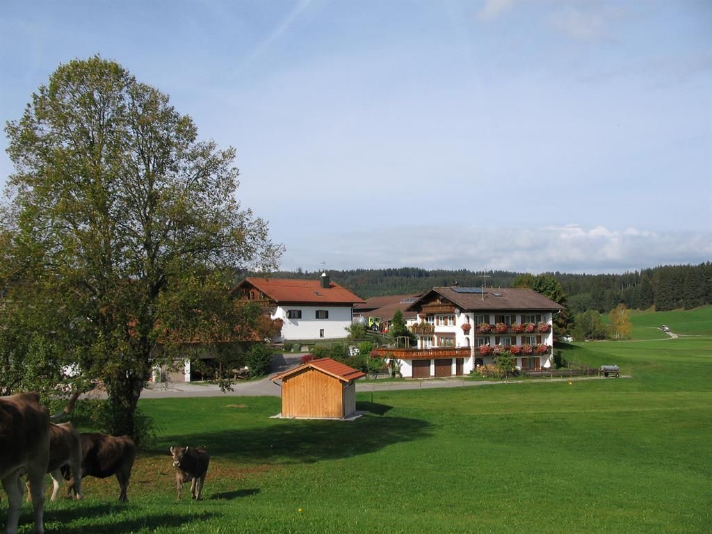 Herbstliche  Schönheit